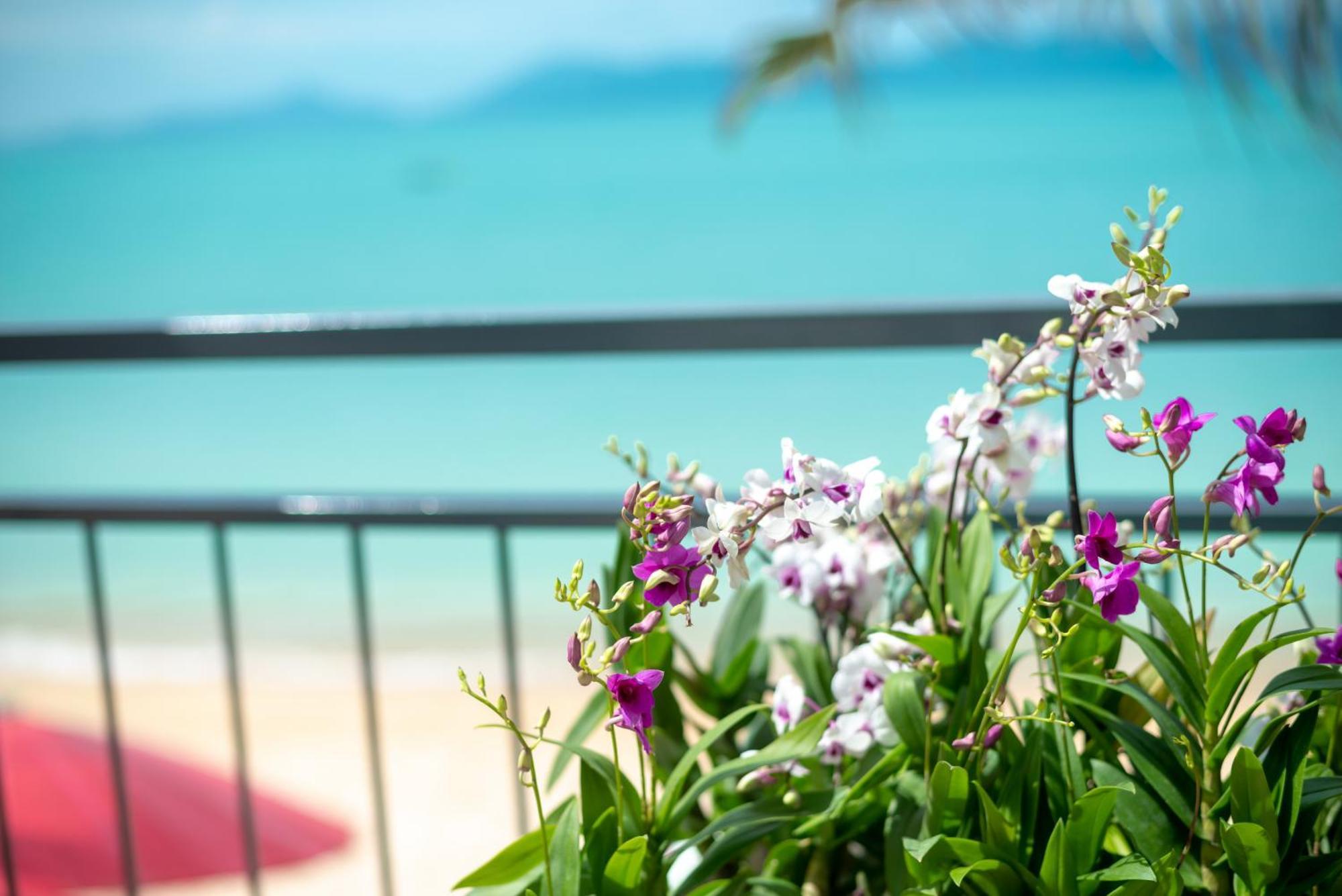 The Florist Resort Mae Nam Beach Eksteriør billede